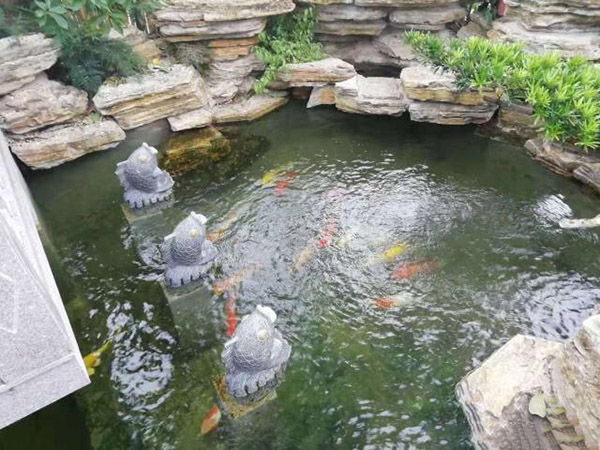 別墅花園設計里添加個魚池設計怎么樣？