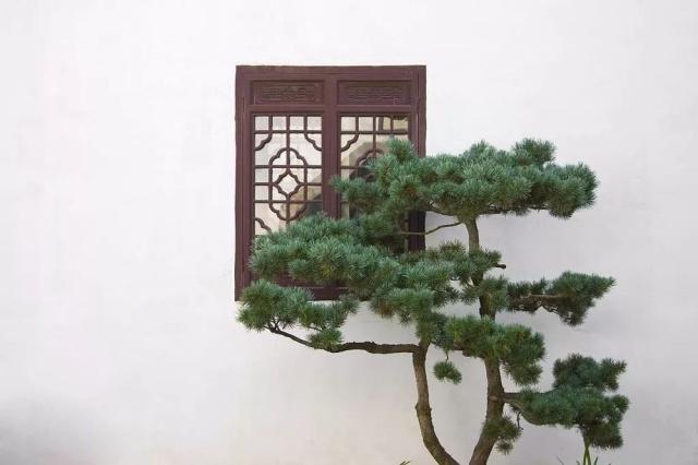 驚艷世界的中式庭院，美哭了！