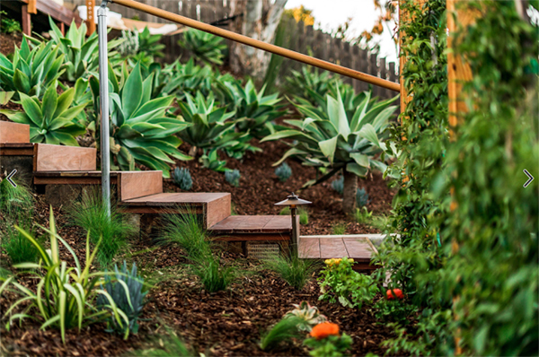 每一層別墅花園都能驚艷你的目光